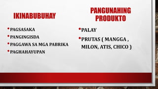 IKINABUBUHAY
•PAGSASAKA
•PANGINGISDA
•PAGGAWA SA MGA PABRIKA
•PAGHAHAYUPAN
PANGUNAHING
PRODUKTO
•PALAY
•PRUTAS ( MANGGA ,
MILON, ATIS, CHICO )
 