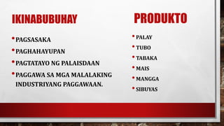 IKINABUBUHAY
•PAGSASAKA
•PAGHAHAYUPAN
•PAGTATAYO NG PALAISDAAN
•PAGGAWA SA MGA MALALAKING
INDUSTRIYANG PAGGAWAAN.
PRODUKTO
•PALAY
•TUBO
•TABAKA
•MAIS
•MANGGA
•SIBUYAS
 