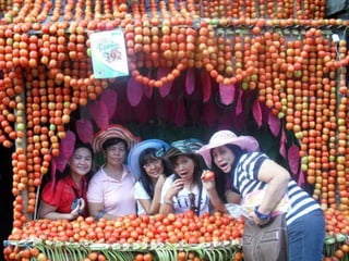 Rehiyon IV-A (CALABARZON)
