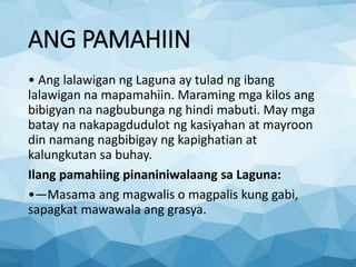ANG PAMAHIIN
• Ang lalawigan ng Laguna ay tulad ng ibang
lalawigan na mapamahiin. Maraming mga kilos ang
bibigyan na nagbubunga ng hindi mabuti. May mga
batay na nakapagdudulot ng kasiyahan at mayroon
din namang nagbibigay ng kapighatian at
kalungkutan sa buhay.
Ilang pamahiing pinaniniwalaang sa Laguna:
•—Masama ang magwalis o magpalis kung gabi,
sapagkat mawawala ang grasya.
 