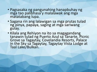 • Pagsasaka ng pangunahing hanapbuhay ng
mga tao palibhasa'y malalawak ang mga
matatabang lupa.
• Sagana rin ang lalawigan sa mga prutas tulad
ng pinya, papaya, saging at mga sariwang
gulay.
• Kilala ang Rehiyon na ito sa magagandang
tanawin tulad ng Puerto Azul sa Tanarte, Picnic
Grove sa Tagaytay, Covelandia Resorts, Palace
in the Sky sa Tagaytay, Tagaytay Vista Lodge at
Taal Lake/Bulkan.
 