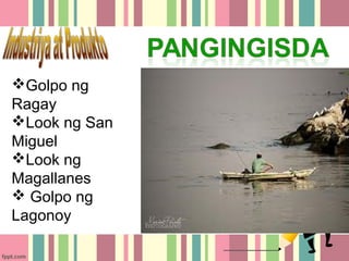 Golpo ng
Ragay
Look ng San
Miguel
Look ng
Magallanes
 Golpo ng
Lagonoy
 