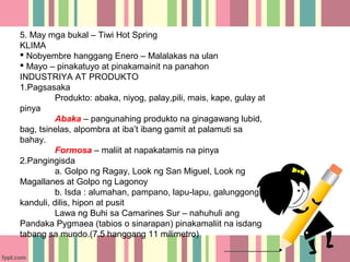 5. May mga bukal – Tiwi Hot Spring
KLIMA
 Nobyembre hanggang Enero – Malalakas na ulan
 Mayo – pinakatuyo at pinakamainit na panahon
INDUSTRIYA AT PRODUKTO
1.Pagsasaka
          Produkto: abaka, niyog, palay,pili, mais, kape, gulay at
pinya
          Abaka – pangunahing produkto na ginagawang lubid,
bag, tsinelas, alpombra at iba’t ibang gamit at palamuti sa
bahay.
          Formosa – maliit at napakatamis na pinya
2.Pangingisda
          a. Golpo ng Ragay, Look ng San Miguel, Look ng
Magallanes at Golpo ng Lagonoy
          b. Isda : alumahan, pampano, lapu-lapu, galunggong,
kanduli, dilis, hipon at pusit
          Lawa ng Buhi sa Camarines Sur – nahuhuli ang
Pandaka Pygmaea (tabios o sinarapan) pinakamaliit na isdang
tabang sa mundo.(7.5 hanggang 11 milimetro)
 