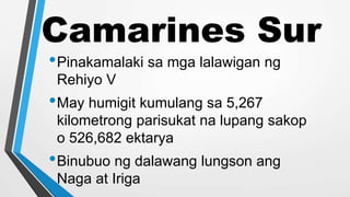 Camarines Sur
•Pinakamalaki sa mga lalawigan ng
Rehiyo V
•May humigit kumulang sa 5,267
kilometrong parisukat na lupang sakop
o 526,682 ektarya
•Binubuo ng dalawang lungson ang
Naga at Iriga
 
