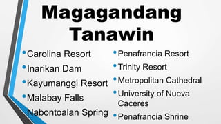Magagandang
Tanawin
•Carolina Resort
•Inarikan Dam
•Kayumanggi Resort
•Malabay Falls
•Nabontoalan Spring
•Penafrancia Resort
•Trinity Resort
•Metropolitan Cathedral
•University of Nueva
Caceres
•Penafrancia Shrine
 