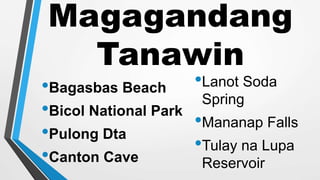Magagandang
Tanawin
•Bagasbas Beach
•Bicol National Park
•Pulong Dta
•Canton Cave
•Lanot Soda
Spring
•Mananap Falls
•Tulay na Lupa
Reservoir
 
