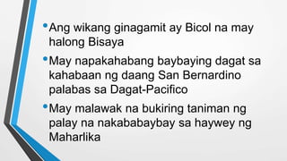 •Ang wikang ginagamit ay Bicol na may
halong Bisaya
•May napakahabang baybaying dagat sa
kahabaan ng daang San Bernardino
palabas sa Dagat-Pacifico
•May malawak na bukiring taniman ng
palay na nakababaybay sa haywey ng
Maharlika
 