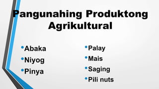 Pangunahing Produktong
Agrikultural
•Abaka
•Niyog
•Pinya
•Palay
•Mais
•Saging
•Pili nuts
 