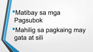 •Matibay sa mga
Pagsubok
•Mahilig sa pagkaing may
gata at sili
 