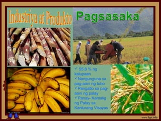  55.8 % ng
kalupaan
Nangunguna sa
pag-aani ng tubo
Pangatlo sa pag-
aani ng palay
Panay- Kamalig
ng Palay sa
Kanlurang Visayas
 