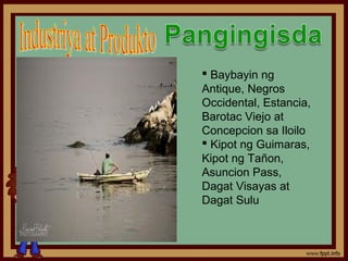  Baybayin ng
Antique, Negros
Occidental, Estancia,
Barotac Viejo at
Concepcion sa Iloilo
 Kipot ng Guimaras,
Kipot ng Tañon,
Asuncion Pass,
Dagat Visayas at
Dagat Sulu
 