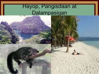 Hayop, Pangisdaan at
   Dalampasigan
 
