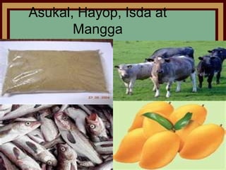 Asukal, Hayop, Isda at
       Mangga
 