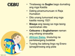 CEBU   • Tinatawag na Sugbo bago dumating
         ang mga Kastila
       • Dating pinamumunuan ni Raja
         Humabon
       • Dito unang lumunsad ang mga
         kastila noong 1521
       • Bisaya ang tawag sa mga taong
         naninirahan dito
       • Cebuano o Sugbahanon naman
         ang wikang sinasalita
       • African Daisy, tinuturing na
         panlalawigang bulaklak
       • Tuwing ika tatlong lingo ng Enero
         ipinagdiriwang ang pista
 