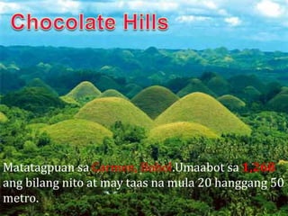Matatagpuan sa Carmen, Bohol.Umaabot sa 1,268
ang bilang nito at may taas na mula 20 hanggang 50
metro.
 