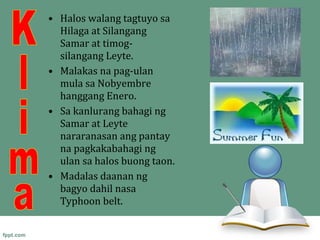 • Halos walang tagtuyo sa
  Hilaga at Silangang
  Samar at timog-
  silangang Leyte.
• Malakas na pag-ulan
  mula sa Nobyembre
  hanggang Enero.
• Sa kanlurang bahagi ng
  Samar at Leyte
  nararanasan ang pantay
  na pagkakabahagi ng
  ulan sa halos buong taon.
• Madalas daanan ng
  bagyo dahil nasa
  Typhoon belt.
 