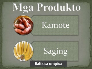 Kamote


Saging
 
