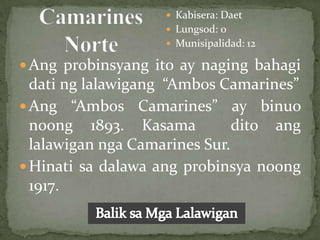  Kabisera: Daet
                     Lungsod: 0
                     Munisipalidad: 12

 Ang probinsyang ito ay naging bahagi
  dati ng lalawigang “Ambos Camarines”
 Ang “Ambos Camarines” ay binuo
  noong 1893. Kasama           dito ang
  lalawigan nga Camarines Sur.
 Hinati sa dalawa ang probinsya noong
  1917.
 