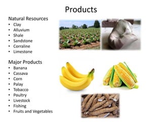 Products
Natural Resources
•
•
•
•
•
•

Clay
Alluvium
Shale
Sandstone
Corraline
Limestone

Major Products
•
•
•
•
•
•
•
•
•

Banana
Cassava
Corn
Palay
Tobacco
Poultry
Livestock
Fishing
Fruits and Vegetables

 