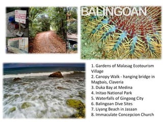 1. Gardens of Malasag Ecotourism
Village
2. Canopy Walk - hanging bridge in
Magbais, Claveria
3. Duka Bay at Medina
4. Initao National Park
5. Waterfalls of Gingoog City
6. Balingoan Dive Sites
7. Liyang Beach in Jasaan
8. Immaculate Concepcion Church

 