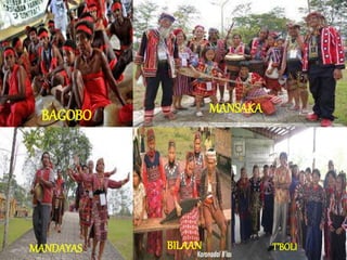 BAGOBO 
MANDAYAS 
MANSAKA 
BILAAN T’BOLI 
 