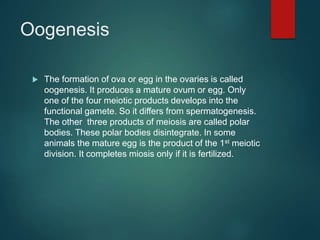 Oogenesis
 The formation of ova or egg in the ovaries is called
oogenesis. It produces a mature ovum or egg. Only
one of the four meiotic products develops into the
functional gamete. So it differs from spermatogenesis.
The other three products of meiosis are called polar
bodies. These polar bodies disintegrate. In some
animals the mature egg is the product of the 1st meiotic
division. It completes miosis only if it is fertilized.
 