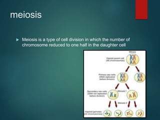 meiosis
 Meiosis is a type of cell division in which the number of
chromosome reduced to one half in the daughter cell
 