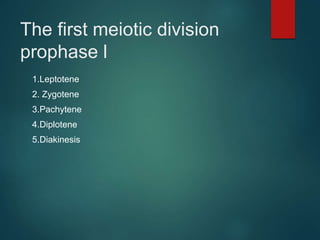 The first meiotic division
prophase l
1.Leptotene
2. Zygotene
3.Pachytene
4.Diplotene
5.Diakinesis
 