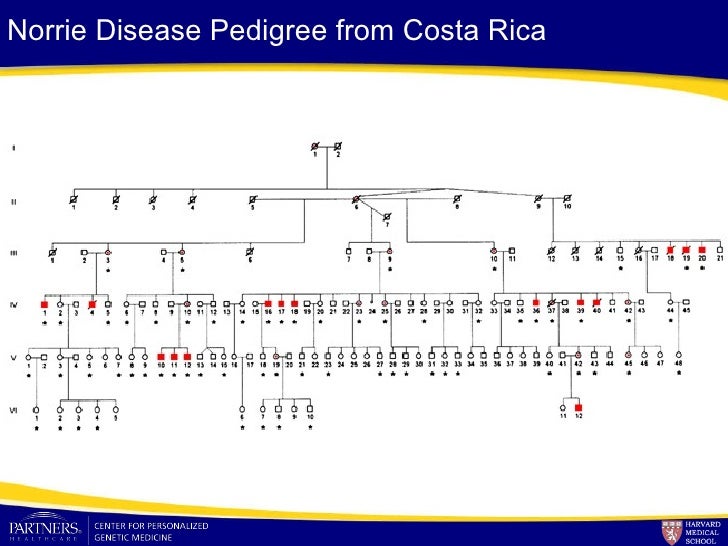 Understanding and Expanding the Phenotype in Norrie Disease