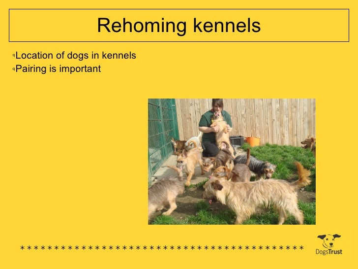 rehoming kennels