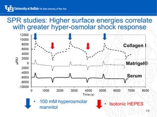 Use of Surface Plasmon Resonance for Probing Cell-Matrix Interactions | PDF