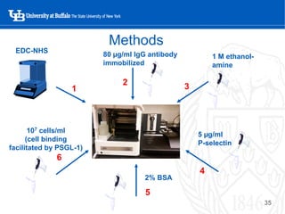 Use of Surface Plasmon Resonance for Probing Cell-Matrix Interactions | PDF