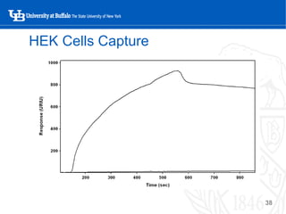Use of Surface Plasmon Resonance for Probing Cell-Matrix Interactions | PDF