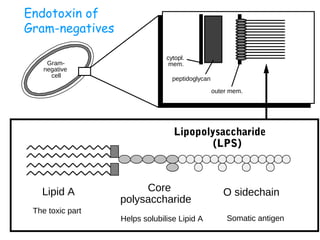 [Micro] pathogenesis | PPT