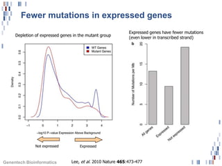 Fewer mutations in expressed genes
                                                             Expressed genes have fewer mutations
     Depletion of expressed genes in the mutant group
                                                             (even lower in transcribed strand)




               Not expressed         Expressed



Genentech Bioinformatics         Lee, et al. 2010 Nature 465:473-477
 