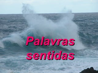 Palavras sentidas 