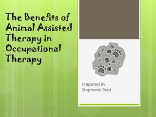 The Benefits of Animal Assisted Therapy in Occupational Therapy Prepared By Stephanie Reid 