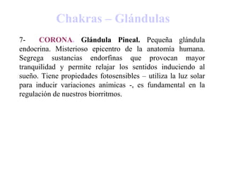 Chakras – Glándulas
7- CORONA. Glándula Pineal. Pequeña glándula
endocrina. Misterioso epicentro de la anatomía humana.
Segrega sustancias endorfinas que provocan mayor
tranquilidad y permite relajar los sentidos induciendo al
sueño. Tiene propiedades fotosensibles – utiliza la luz solar
para inducir variaciones anímicas -, es fundamental en la
regulación de nuestros biorritmos.
 