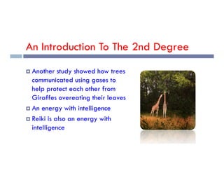 An Introduction To The 2nd Degree
 Another study showed how trees
communicated using gases to
help protect each other from
help protect each other from
Giraffes overeating their leaves
 An energy with intelligence
 Reiki is also an energy with
intelligence
 