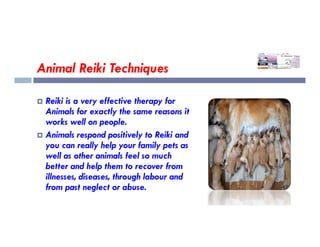 Animal Reiki Techniques
 Reiki is a very effective therapy for
Animals for exactly the same reasons it
works well on people.
works well on people.
 Animals respond positively to Reiki and
you can really help your family pets as
well as other animals feel so much
better and help them to recover from
illnesses, diseases, through labour and
from past neglect or abuse.
 