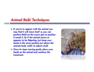 Animal Reiki Techniques
 If you’re in rapport with the animal you
may find it will move itself so you can
perform Reiki on the exact spot or position
it needs it. So if the animal moves or
perform Reiki on the exact spot or position
it needs it. So if the animal moves or
appears to be fidgeting, just keep your
hands in the same position just above the
animals body while its adjusts itself.
 Once its stops moving gently place your
hands on the animal and continue the
treatment.
 