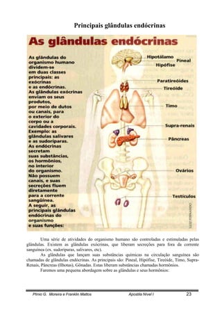 Plínio G. Moreira e Franklin Mattos Apostila Nível I 23
Principais glândulas endócrinas
Uma série de atividades do organismo humano são controladas e estimuladas pelas
glândulas. Existem as glândulas exócrinas, que liberam secreções para fora da corrente
sanguínea (ex. sudoríparas, salivares, etc).
As glândulas que lançam suas substâncias químicas na circulação sanguínea são
chamadas de glândulas endócrinas. As principais são: Pineal, Hipófise, Tireóide, Timo, Supra-
Renais, Pâncreas (Ilhotas), Gônadas. Estas liberam substâncias chamadas hormônios.
Faremos uma pequena abordagem sobre as glândulas e seus hormônios:
 