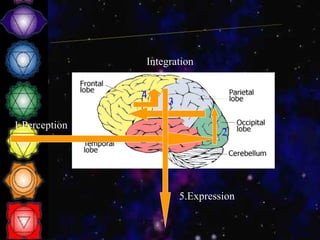 1.Perception 3 5.Expression 4 2 Integration  Brain & communication 