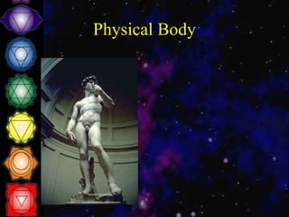 Physical Body 