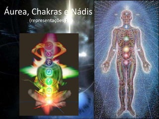 Attunement é um processo de iniciação e sintonização, sem o qualnão se podecanalizar a energia.O que são ChakrasChakra significa “Roda” de Luz. Existem 7 chakras principais que estão alinhados próximo à coluna vertebral e seguem uma linha vertical.São invisíveis ao observador comum e são centros energéticos em forma de rodas giratórias por onde entra e se concentra a bioenergia vinda da áurea.Os Chakras têm cores, e estas, estão associadas às sete cores do arco-íris, emitem sons específicos, únicos e diferentes e estes por sua vez, estão também associados às sete notas musicais.