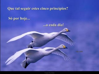 Que tal seguir estes cinco princípios? Só por hoje...   ...a cada dia! 