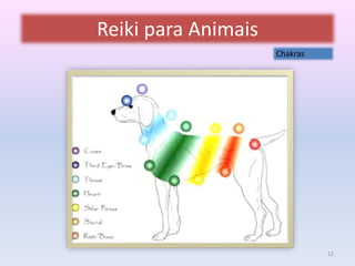 Reiki para Animais 
Chakras 
12 
 