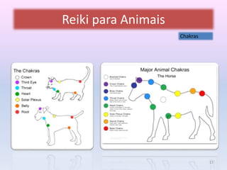 Reiki para Animais 
Chakras 
13 
 