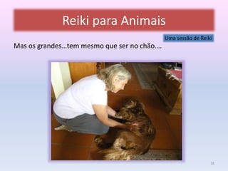 Reiki para Animais 
Mas os grandes…tem mesmo que ser no chão…. 
Uma sessão de Reiki 
16 
 