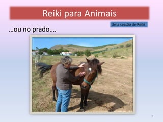 Reiki para Animais 
…ou no prado…. 
Uma sessão de Reiki 
17 
 